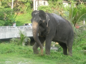 DSCN1356