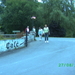 zomer 2008 oostenrijk en zwarte woud 114