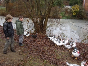 2009-12-30 KKT Hageland 022