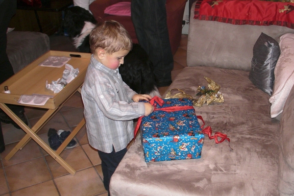 Kerst 2009 036