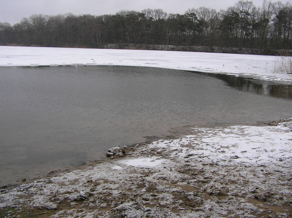 jan 2010 006