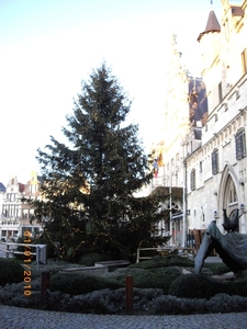 kerstboom op de grote markt van Mechelen