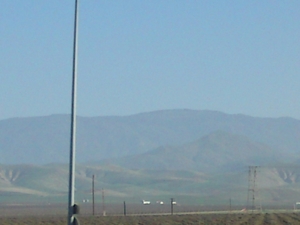 DSC01705