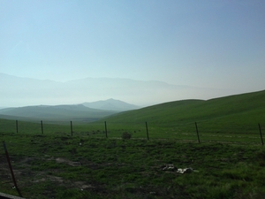 DSC01707