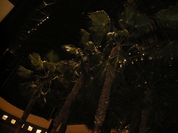 DSCN0429