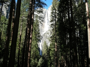 DSCN0973