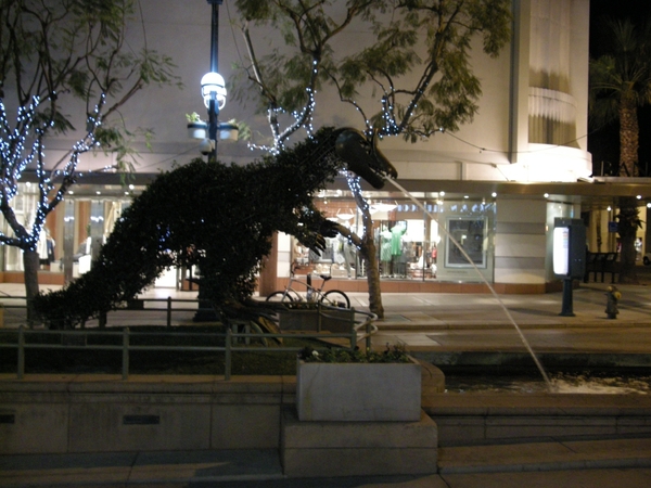 DSCN1746