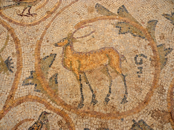 Tunesië 069