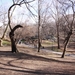 newyork2 219