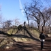newyork2 233