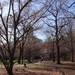 newyork2 234