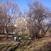 newyork2 235