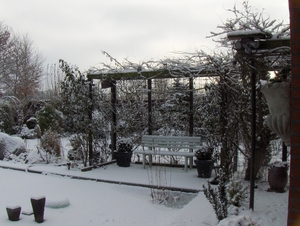 3 januari 2010 027