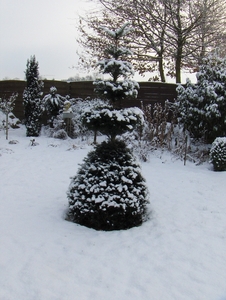 3 januari 2010 035
