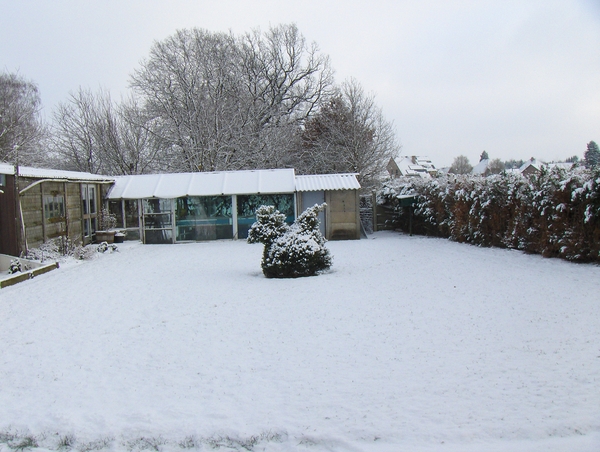 3 januari 2010 036