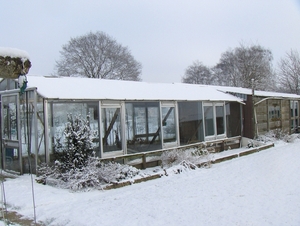 3 januari 2010 037