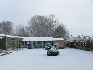 3 januari 2010 038