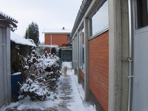 3 januari 2010 039