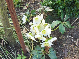 paesen 012