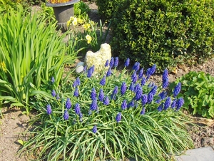april 038