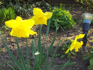 april 042