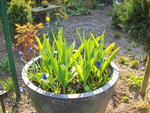 april 044