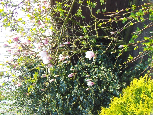 april 046