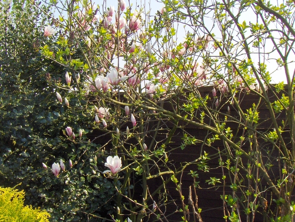 april 047