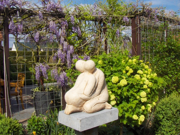5 mei 009