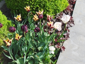 5 mei 010