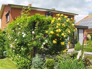 juni 014