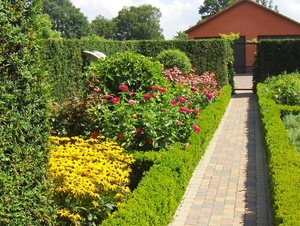 augustus 013
