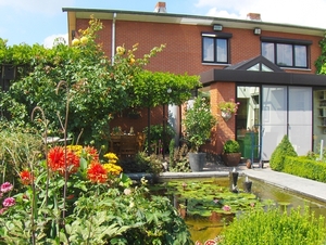 augustus 017