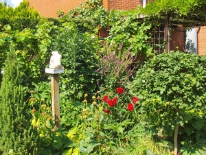 augustus 029