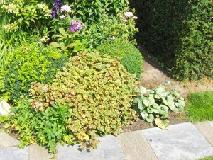 augustus 034