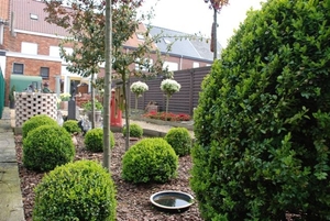 de tuin 2009 008