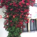 PICT0063