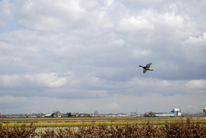 _DSC5427_resize
