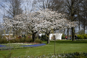 _DSC5429_resize