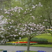 _DSC5470_resize