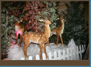 sized_KERSTMARKT VALKENBURG 010