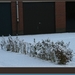 sized_hofstade in de sneeuw 3.1.2010 012