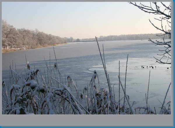 sized_hofstade in de sneeuw 3.1.2010 016
