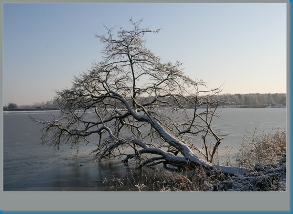 sized_hofstade in de sneeuw 3.1.2010 023