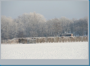 sized_hofstade in de sneeuw 3.1.2010 028