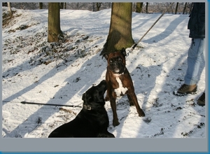 sized_hofstade in de sneeuw 3.1.2010 067