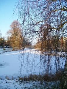 sneeuw 046