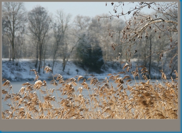 sized_hofstade in de sneeuw 3.1.2010 075