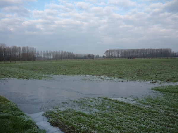 HANSBEKE.EEN BEETJE GEVROREN