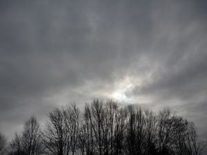 10.02.14 ZOMERGEM 'T ZONNEKE KOMT PIEPEN